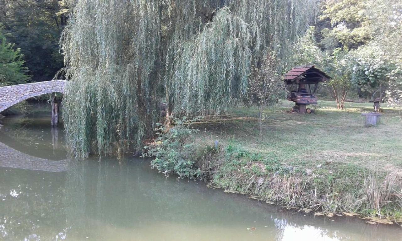 Zivinice Guest House Mala Prica מראה חיצוני תמונה