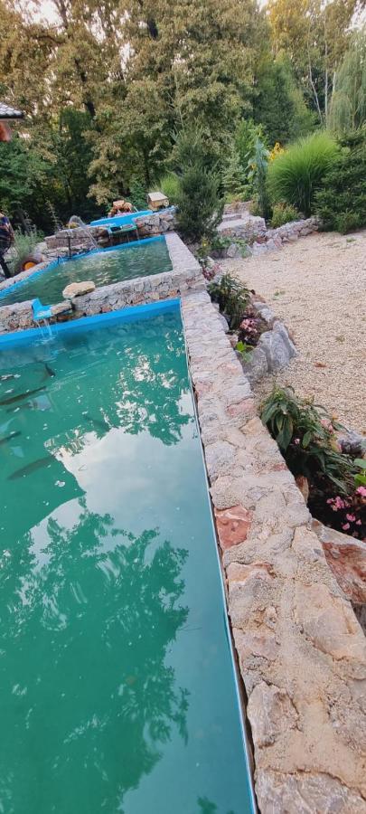 Zivinice Guest House Mala Prica מראה חיצוני תמונה