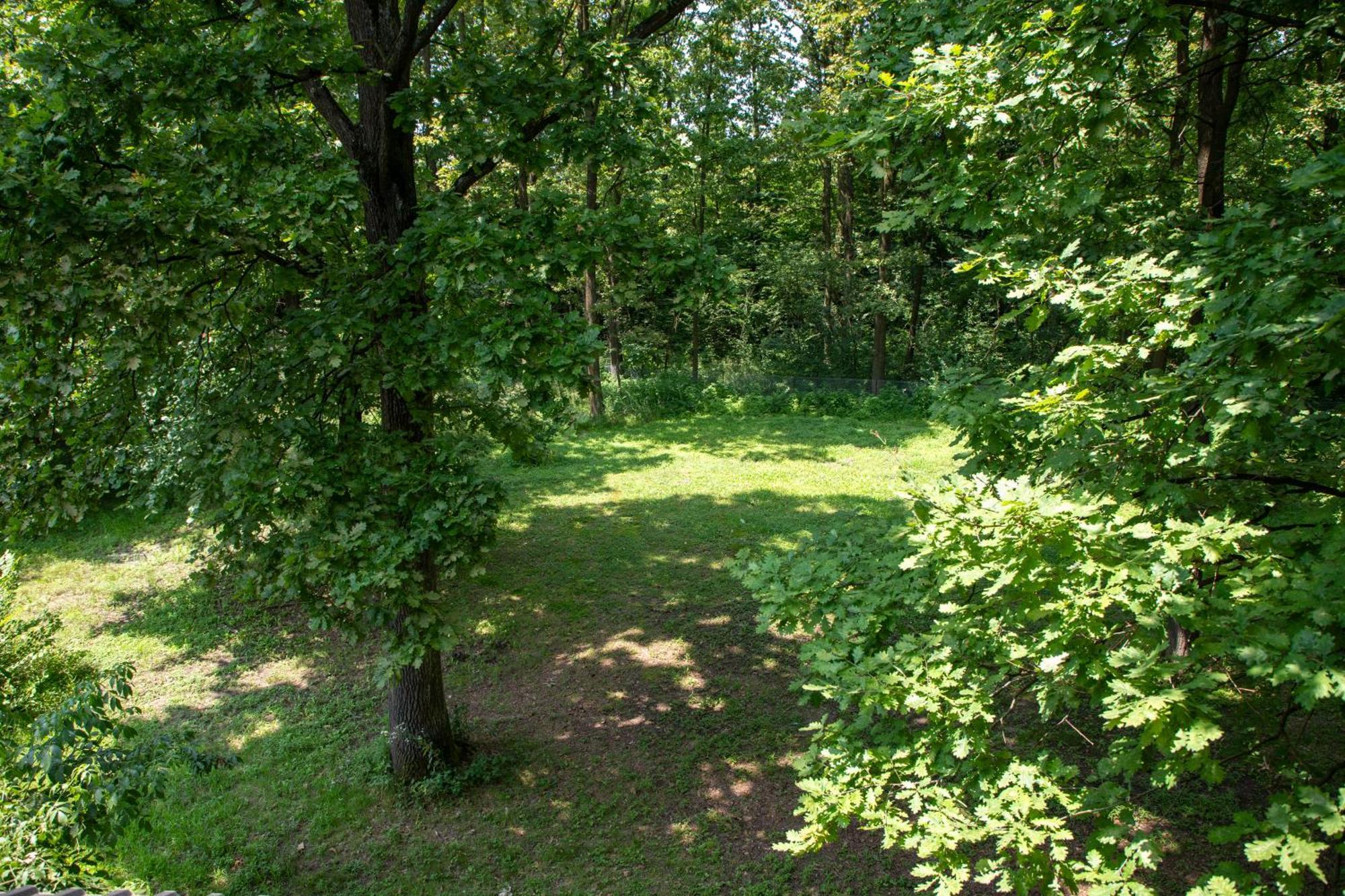 Zivinice Guest House Mala Prica מראה חיצוני תמונה